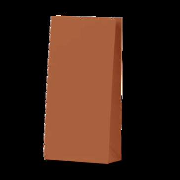 Burnt Orange Coloured Gift Paper Bag - Bee Dee