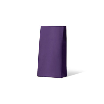 Passion Purple Medium Coloured Gift Paper Bag - Bee Dee